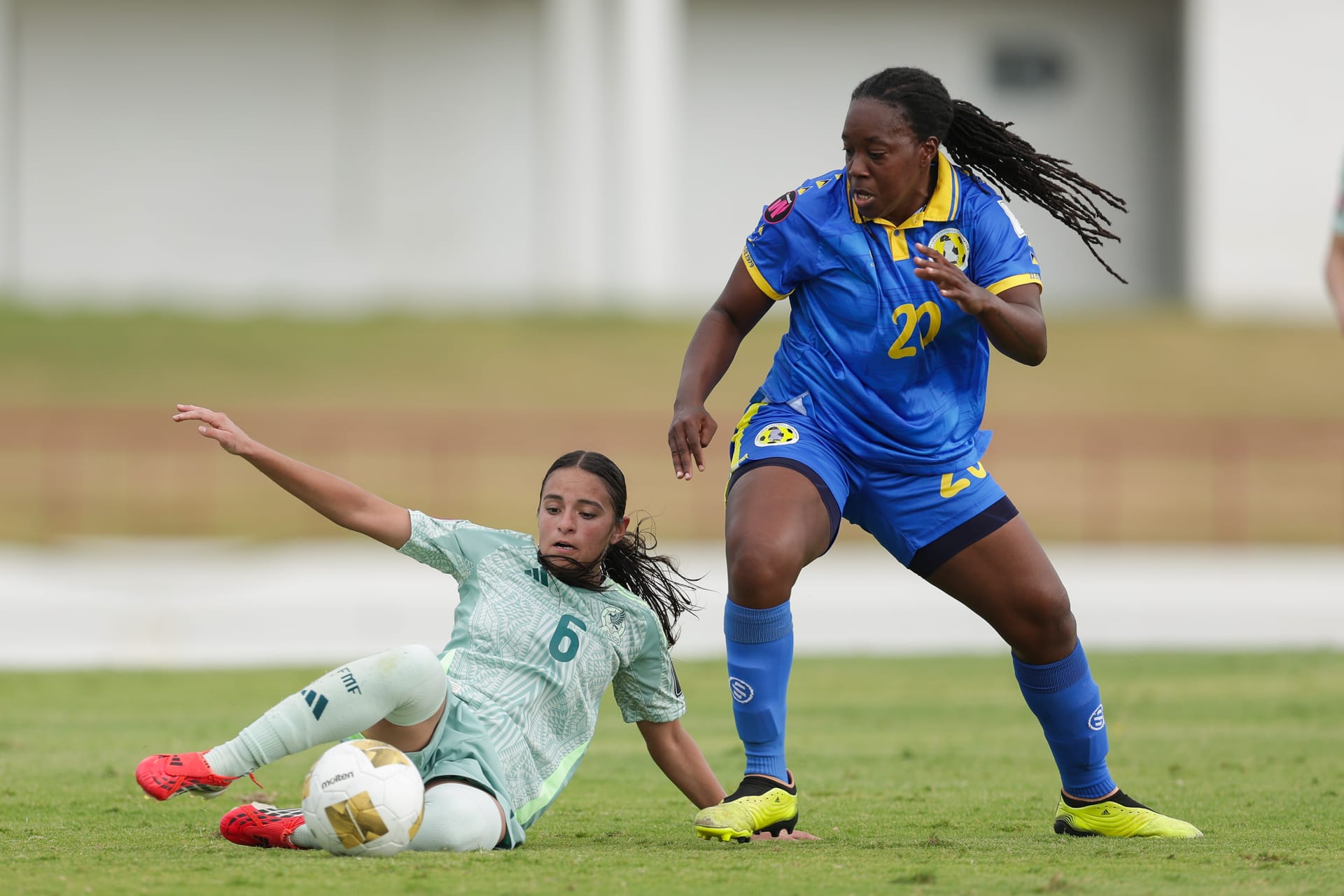 MIGU3417.jpg