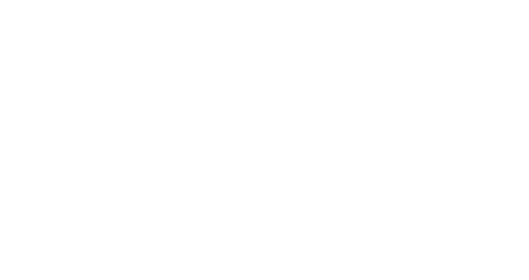 Logo HSJN
