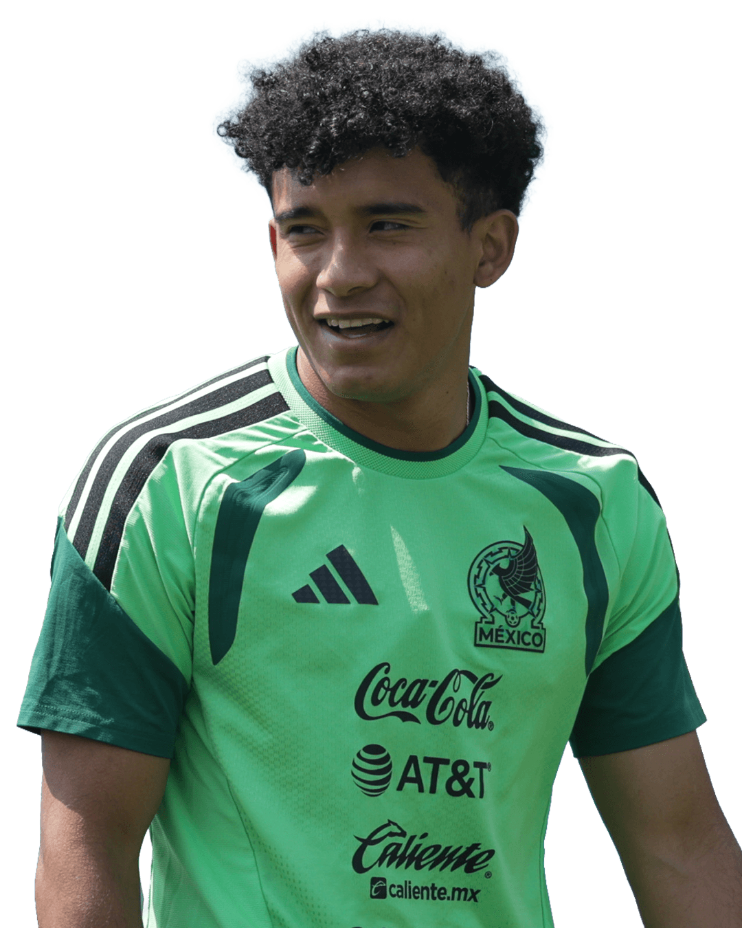 Isaías Violante